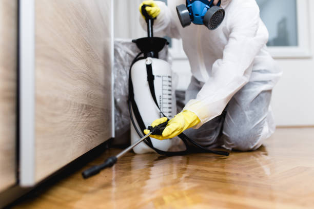 Best Affordable Pest Control Services  in Blowing Rock, NC