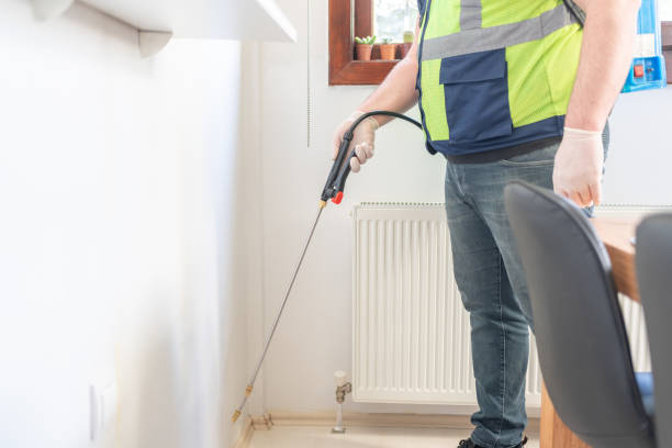 Best Pest Control Near Me in Blowing Rock, NC