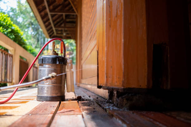 Best Cockroach Control Services  in Blowing Rock, NC