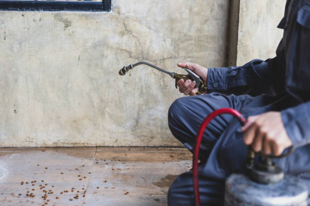 Best Affordable Pest Control Services  in Blowing Rock, NC